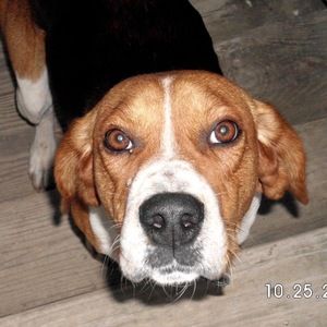 Meet your Posher, Marybeth